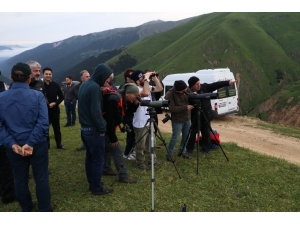 Dağ Horozu Kendini 3 Yıl Sonra 2 Km Uzaktan Dürbünle Gösterdi