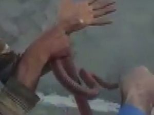 Yakaladığı Yılana Elini Isırttı