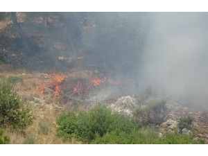 Hatay’da Habib-i Neccar Dağı’nda Orman Yangını