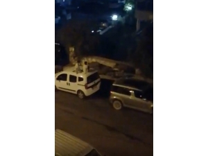 Domuz Sürüsü Şehre İndi, Korkan Çocuklar Araçların Üzerine Çıktı