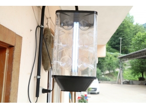 Rizeliler Vampir Kelebek İle Mücadeleye Hazırlanıyor