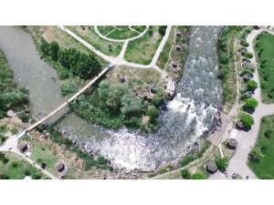 Mavi Fularlılar Balıkların Göçünü İzledi