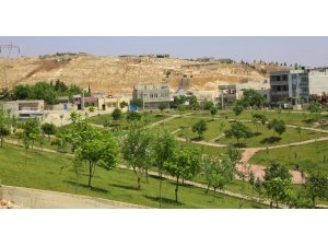 Eyyübiye İlçesinde Park Seferberliği Başladı