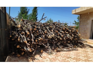 Ormanlık Alanda Kaçak Ağaç Kesen Şahıs Gözaltına Alındı