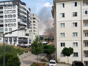 Şanlıurfa’da Korkutan Anız Yangını