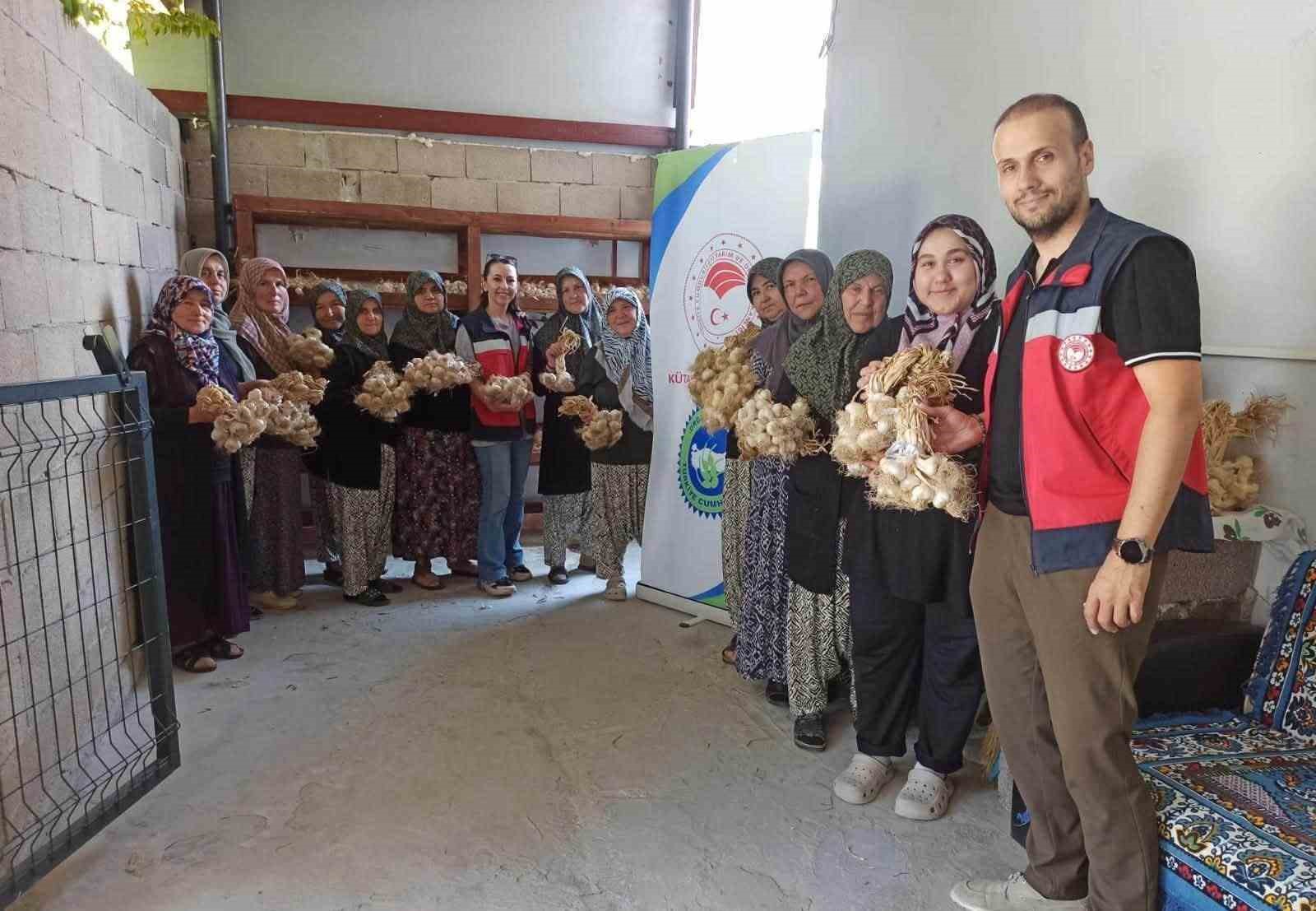 domanic-te-sarimsak-ureticilerine-organik-tarim-destegi