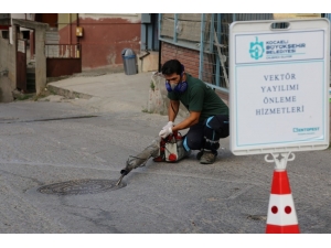 Kocaeli’de Vektörle Mücadele Çalışmaları Sürüyor