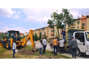 Emet Belediyesi’nden Çevre Düzenleme Çalışmaları