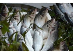 Su Ürünleri Üretimi 7 Yılda Yüzde 10,6 Geriledi