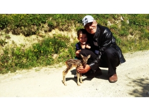 Minik Ceylan Önce Korktu Sonra Yanlarından Ayrılmak İstemedi