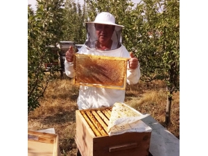 Hisarcıklı Arıcıların Yüksek Bal Üretimi Beklentisi