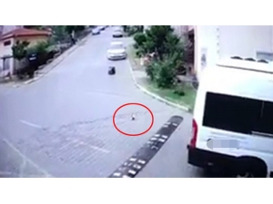 Servis Şoförünün Yavru Kediyi Ezme Anı Kamerada