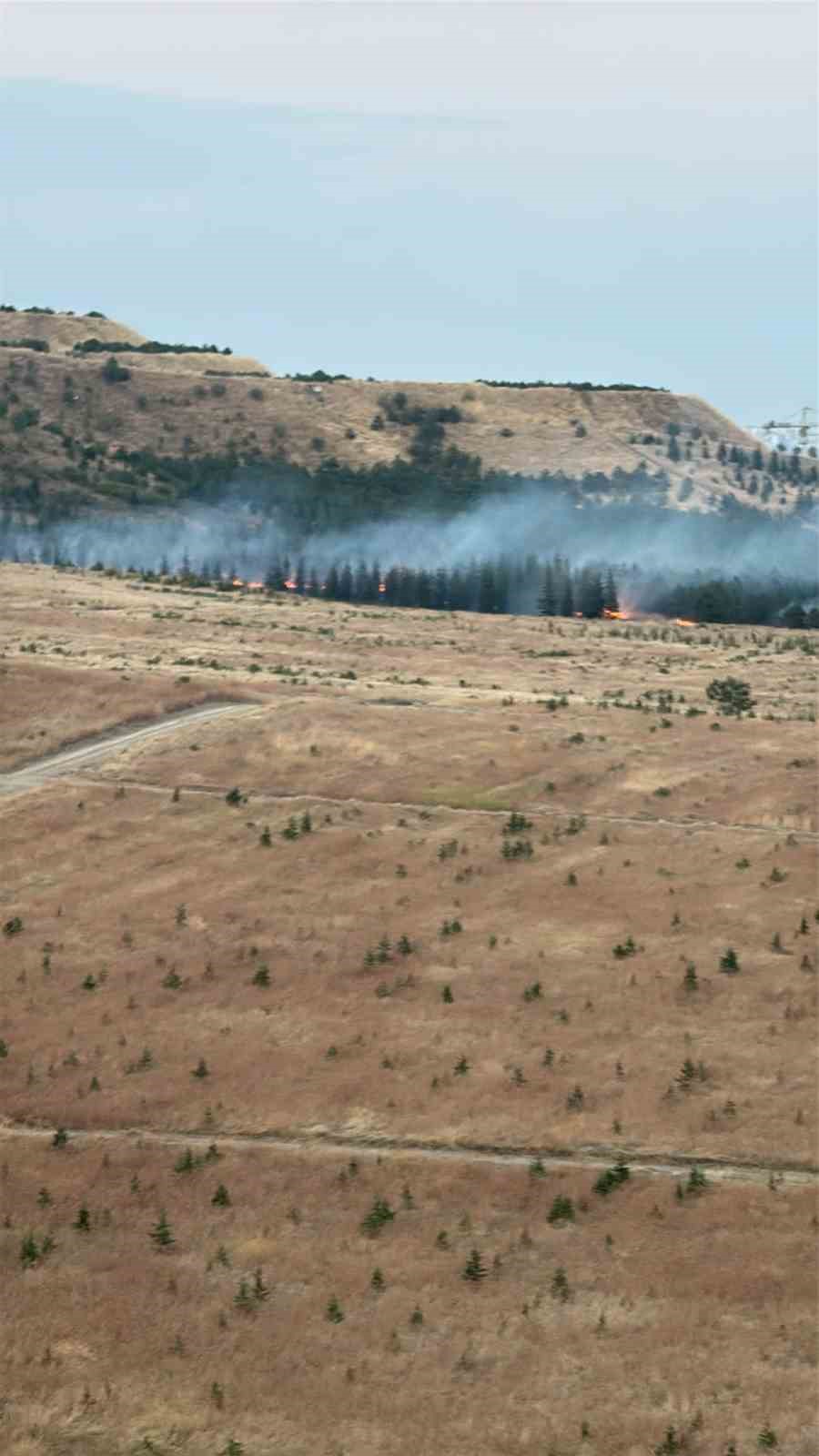 ankara-da-agaclik-alanda-yangin