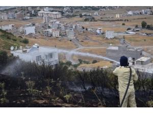 Otluk Alanda Çıkan Yangın Evlere Sıçramadan Söndürüldü