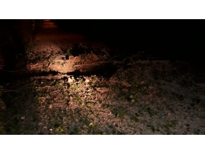 Gevaş’ta Hain Tuzak: 3 Korucu Yaralı