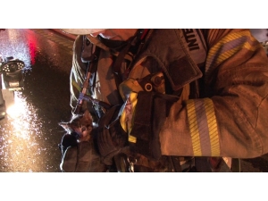 Yavru Kediyi Alevlerin Arasından İtfaiye Kurtardı