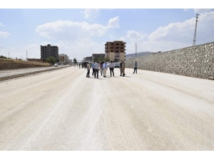 Kaymakam Bilici, Yol Ve Köprü Yapım Çalışmalarını İnceledi