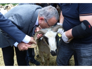 Hilmi Güler’den Çiftçilere Jest