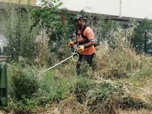 Körfez’de Çevre Çalışmaları Devam Ediyor
