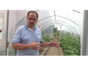 Okulda Yerli Tohum Üretiyorlar