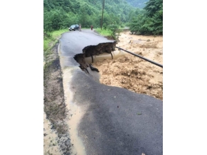 Trabzon’un Araklı İlçesindeki Sel Bölgesine Vatandaşların Gitmemeleri Uyarısında Bulunuldu