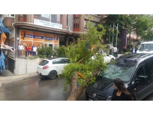 Başkent Sele Teslim Oldu