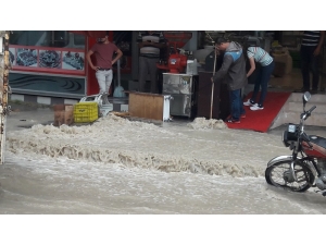 Mersin Sele Teslim Oldu