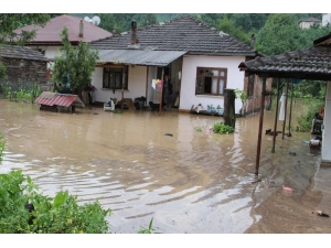 Düzce Sele Teslim Oldu