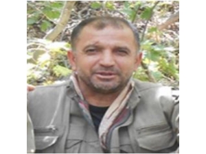 4 Milyon Tl Ödülle Aranan Terörist Bitlis’te Etkisiz Hale Getirildi