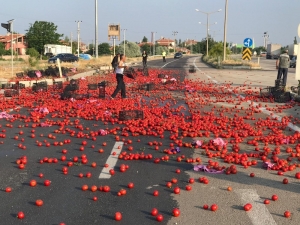 Karayolu Domates Tarlasına Döndü
