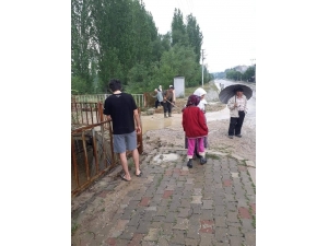 Sel Sularının Getirdiği Çöpler Temizlendi