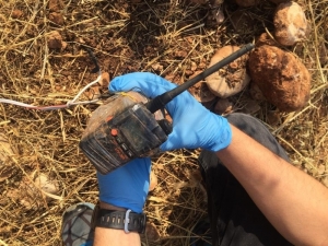 Teröristlerin Yola Tuzakladığı Telsiz Düzenekli Bomba İmha Edildi