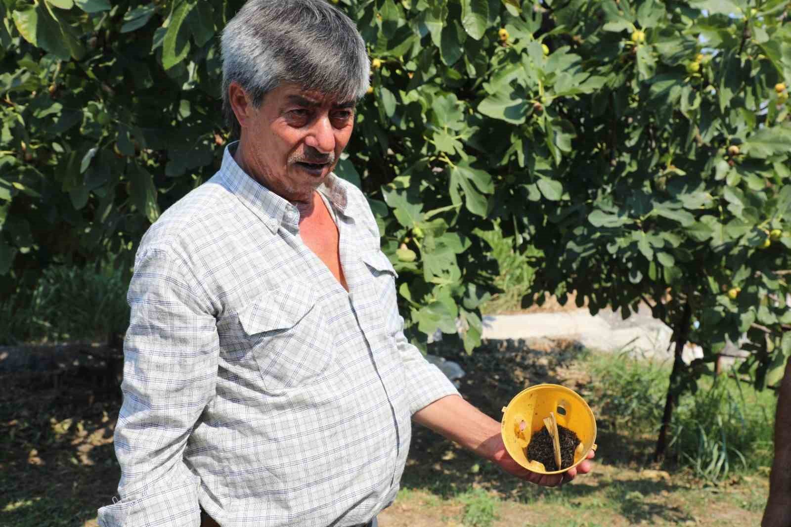 mugla-da-ureticinin-emegine-cevre-dostu-koruma