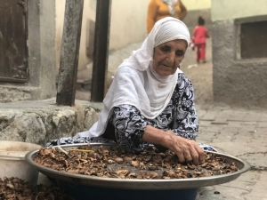 Siirt’te Kadınlar Ceviz Kırarak Aile Bütçelerine Katkı Sağlıyor