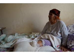 Tedavisi Gecikince Kangren Olan Bacağı Kesildi