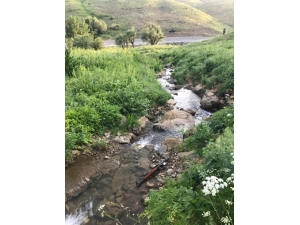 Hakkari’de Pkk Terör Örgütüne Ait Mühimmat Ele Geçirildi