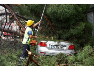 Aydın’da Sağanak Yağış Hayatı Olumsuz Etkiledi