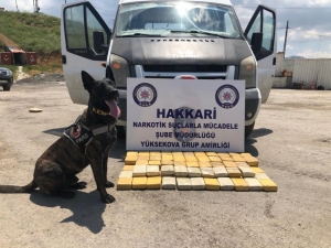 Yüksekova’da 49 Kilo 700 Gram Eroin Ele Geçirildi