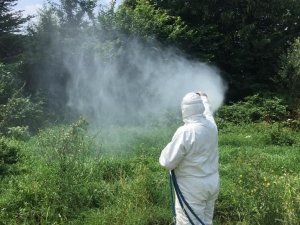 Hendek’te İlaçlama Çalışmaları Hızla Devam Ediyor