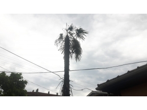 Akyazı’da Evin Bahçesine Yıldırım Düştü