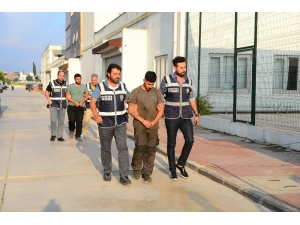 Köpeğine Sokak Kedisini Parçalattı, ”Hayvan Severim” Diye Kendini Savundu