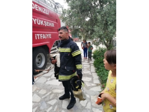 Cami Kubbesinden Bacağından Sıkışan Leyleği İtfaiye Kurtardı