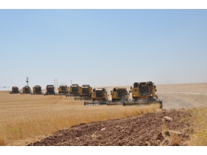 Dev İşletmede Devasa Hasat Maratonu