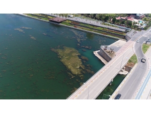 Boğaçayı’nda Yosun Ve Rüsubat Temizliği