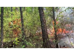 İç Moğolistan’da Orman Yangını Büyüyor