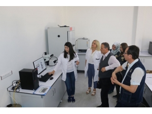 Faydalı Böceklerle Ormanlar Koruma Altında