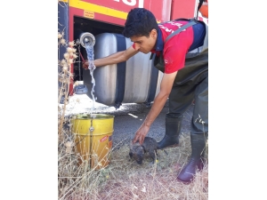 Rögara Düşen Yavru Köpek, İtfaiye Ekipleri Tarafından Kurtarıldı