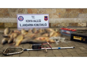 Beyşehir Gölü’nde Elektroşokla Balık Avına 60 Bin Lira Çevre Cezası