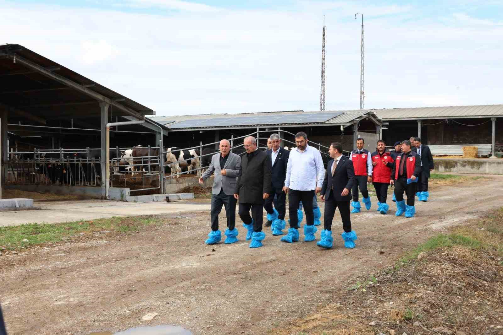 kurban-bayrami-oncesi-hayvancilik-isletmelerinde-inceleme