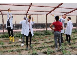 Tarım Lisesi Öğrencileri, Çiftçi Oluyor